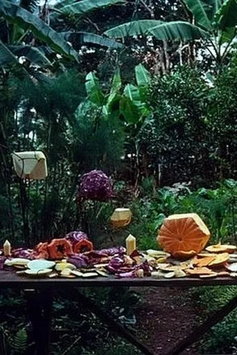 Fruit Polyhedron movie poster - Entertainment content