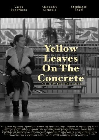 Yellow leaves on the concrete movie poster - Entertainment content