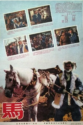 马 movie poster - Entertainment content
