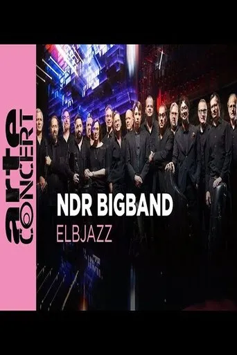 NDR Bigband feat. Lenine & Martin Fondse: The Bridge Elbjazz Festival 2024 movie poster - Entertainment content