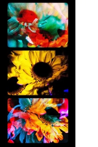 Flowers (II) movie poster - Entertainment content