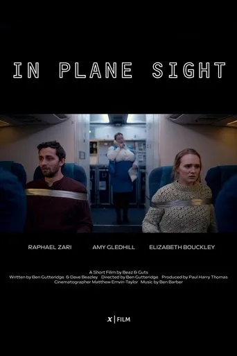 In Plane Sight movie poster - Rated 7/10