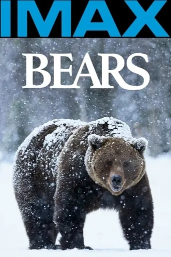 Bears movie poster - Rated 5.6/10