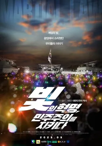 빛의 혁명, 민주주의를 지키다 movie poster - Entertainment content