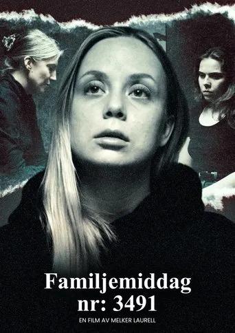 Family Dinner No. 3491 movie poster - Entertainment content