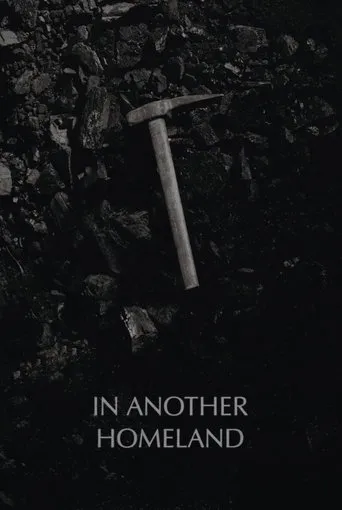 In Another Homeland movie poster - Entertainment content