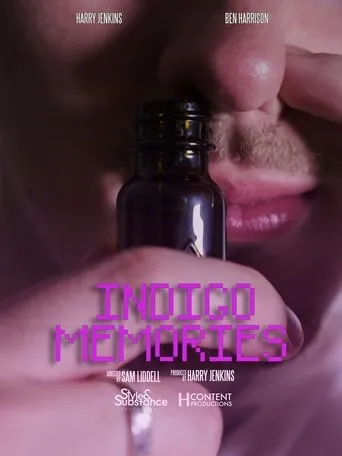 Indigo Memories movie poster - Rated 7/10