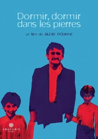 Dormir, dormir dans les pierres movie poster - Rated 10/10