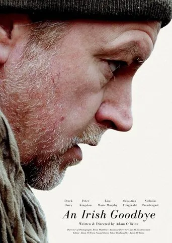 An Irish Goodbye movie poster - Rated 10/10