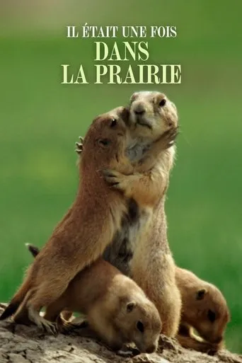 Il était une fois dans la prairie movie poster - Rated 9/10