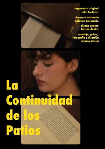 La Continuidad de los Patios movie poster - Entertainment content