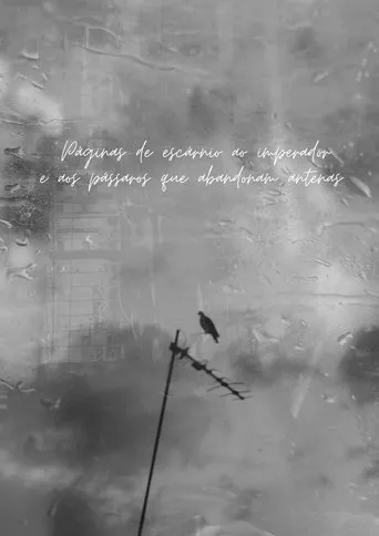 Pages of comtempt of the emperor and the birds that abandon antennas movie poster - Entertainment content