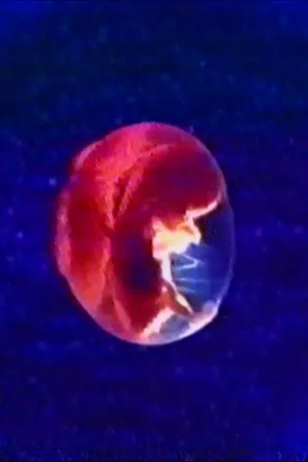 Audio and Visual Experiment 23 movie poster - Rated 10/10