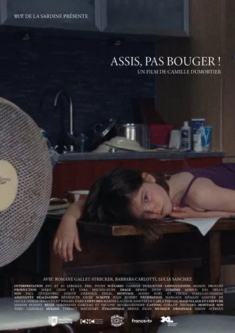 Assis, pas bouger movie poster - Rated 7/10