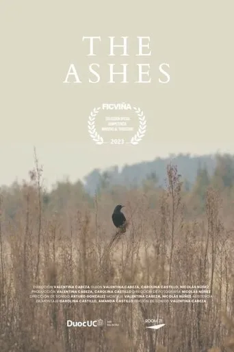 The Ashes movie poster - Rated 10/10
