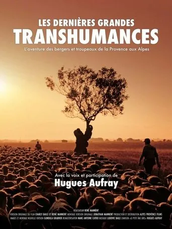 Les dernières grandes transhumances movie poster - Entertainment content