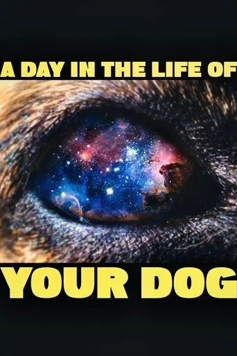 A Day In The Life Of Your Dog movie poster - Rated 10/10