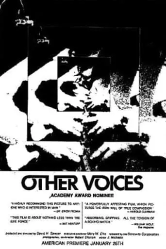 Other Voices movie poster - Entertainment content