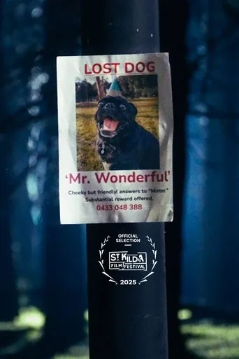 Mr. Wonderful movie poster - Entertainment content