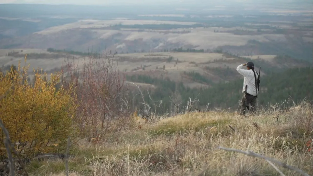 These Sacred Hills