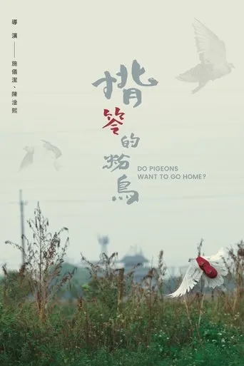 Do Pigeons Want to Go Home? movie poster - Entertainment content