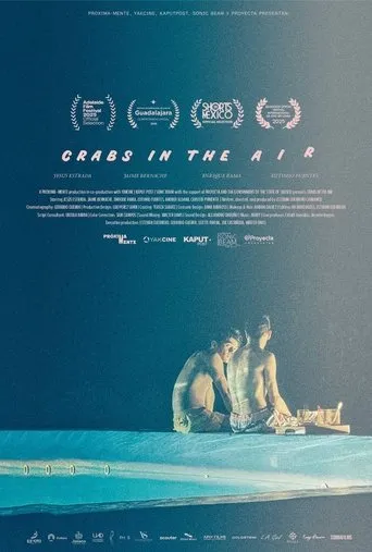 Crabs in the Air movie poster - Entertainment content
