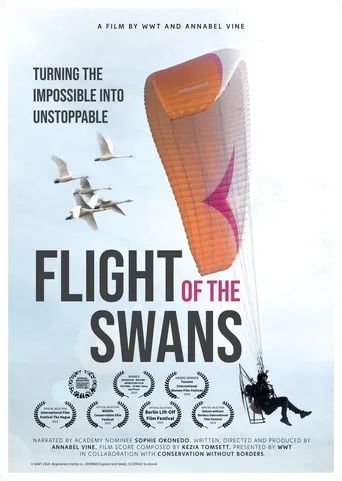 Flight of the Swans movie poster - Entertainment content