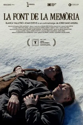 The Fountain of Memory movie poster - Entertainment content