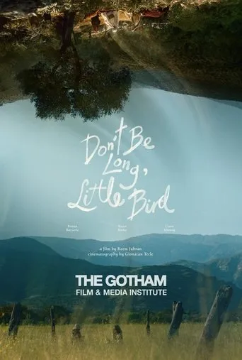 Don't Be Long, Little Bird movie poster - Entertainment content