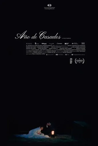 A Year of Marriage movie poster - Entertainment content