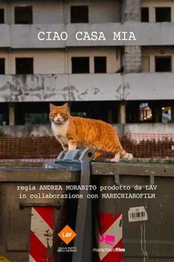 Ciao casa mia movie poster - Entertainment content