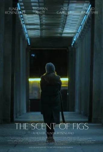The Scent of Figs movie poster - Entertainment content