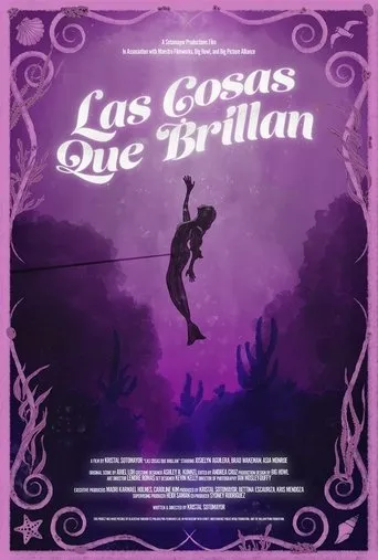 Las Cosas Que Brillan movie poster - Rated 10/10