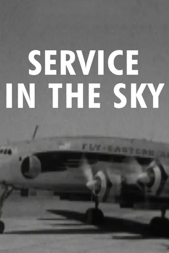 Eye Witness: Service in the Sky movie poster - Entertainment content