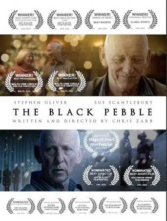 The Black Pebble movie poster - Rated 10/10