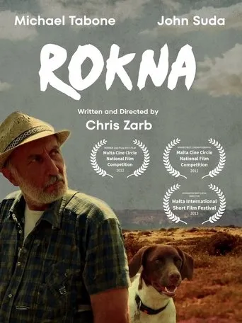 Rokna movie poster - Rated 10/10