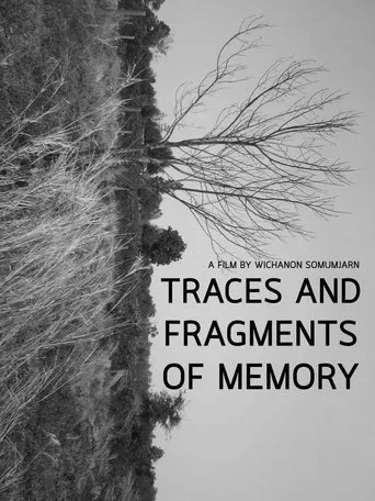 Traces and Fragments of Memory movie poster - Entertainment content