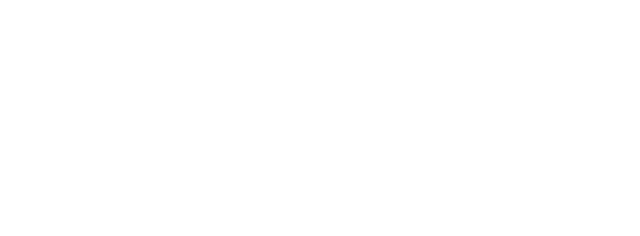 The Christmas Consultant