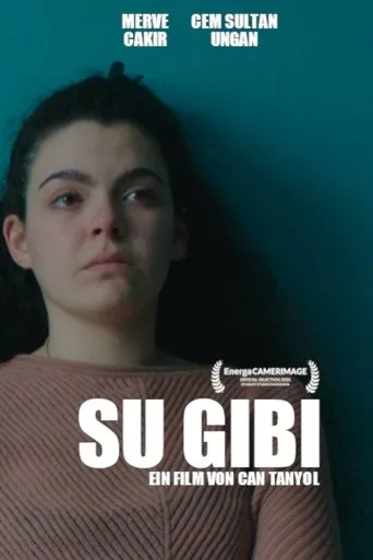 Su Gibi movie poster - Entertainment content