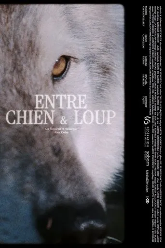 ENTRE CHIEN & LOUP movie poster - Entertainment content