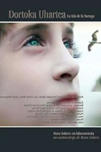 Dortoka Uhartea movie poster - Entertainment content