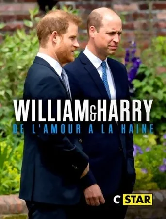 William et Harry : de l'amour à la haine movie poster - Entertainment content