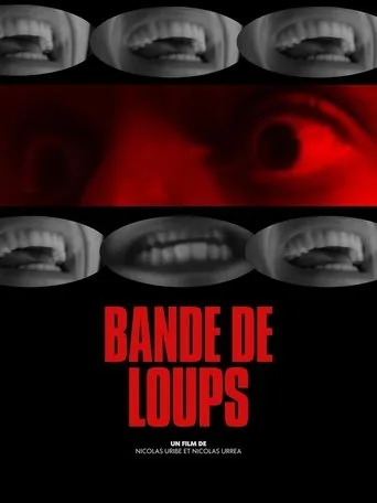 Bande de Loups movie poster - Entertainment content
