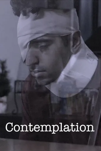 Contemplation movie poster - Entertainment content