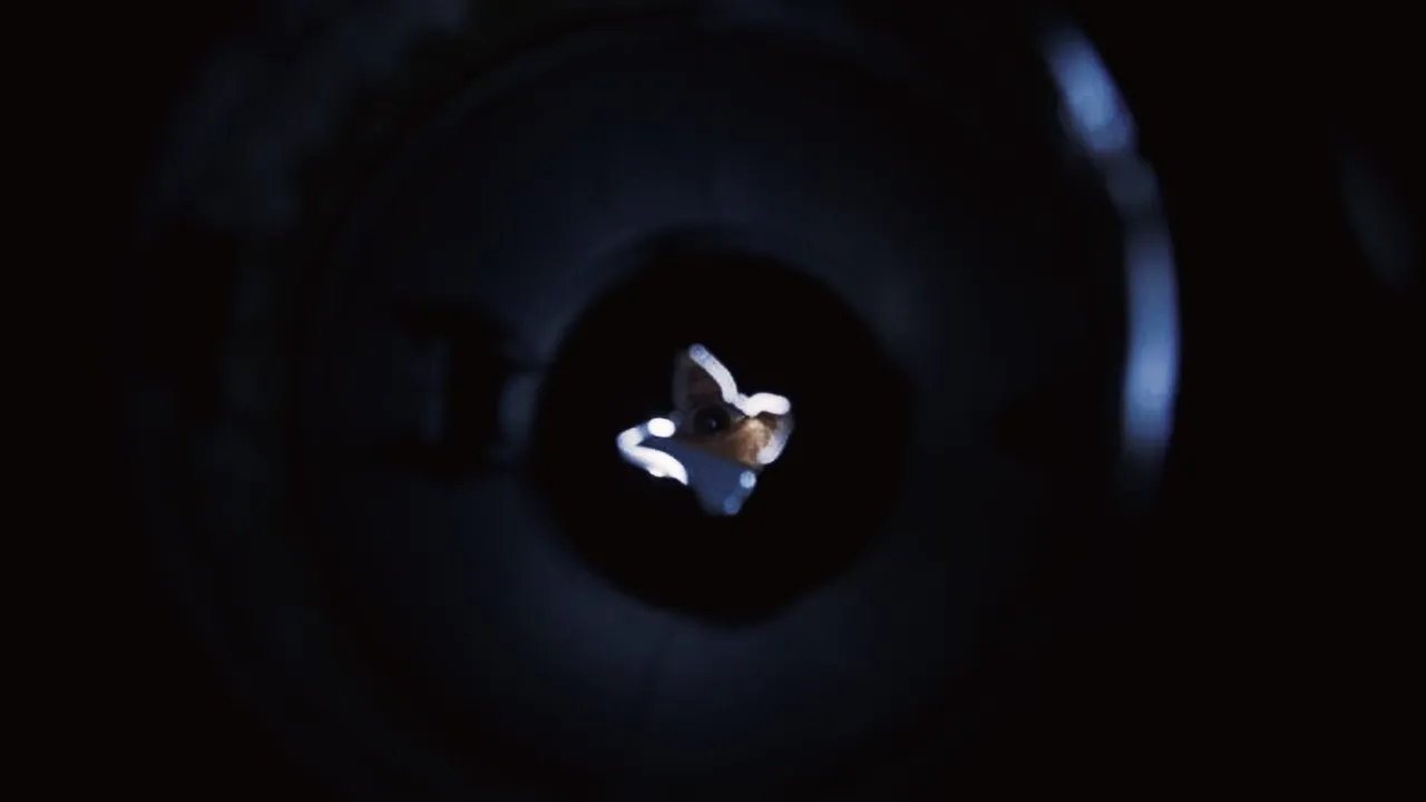 Disposal