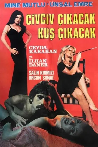 Civciv Çıkacak Kuş Çıkacak movie poster - Entertainment content