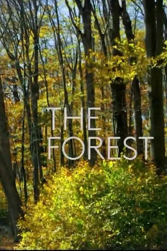 The Forest movie poster - Entertainment content