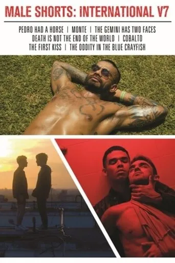 Male Shorts: International V7 movie poster - Entertainment content