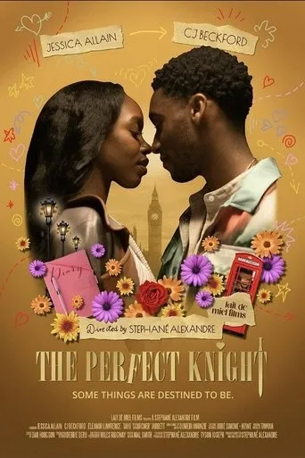The Perfect Knight movie poster - Entertainment content