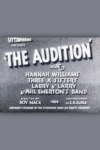 The Audition movie poster - Rated 4.6/10